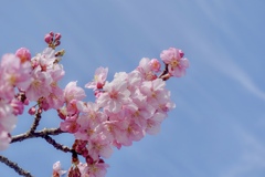 3月9日