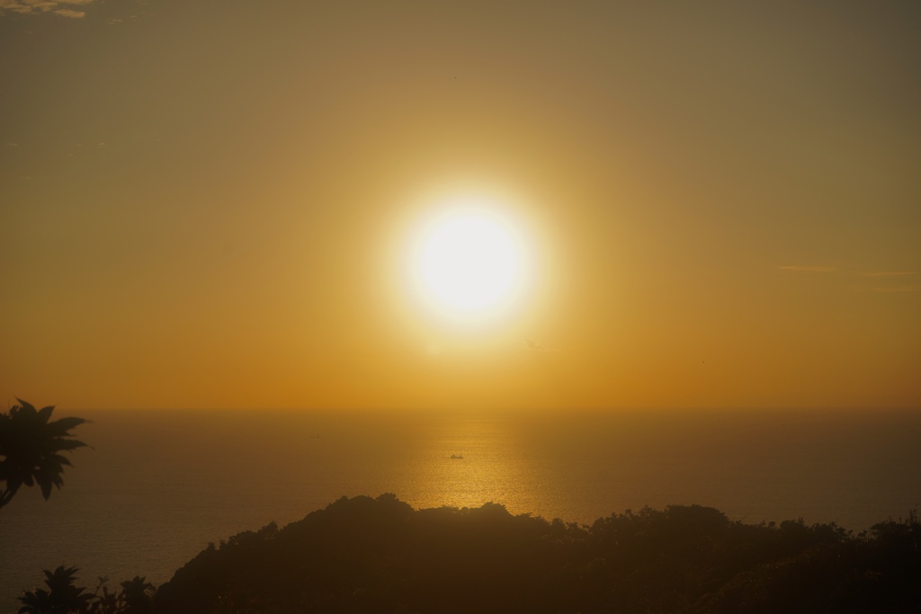 太陽