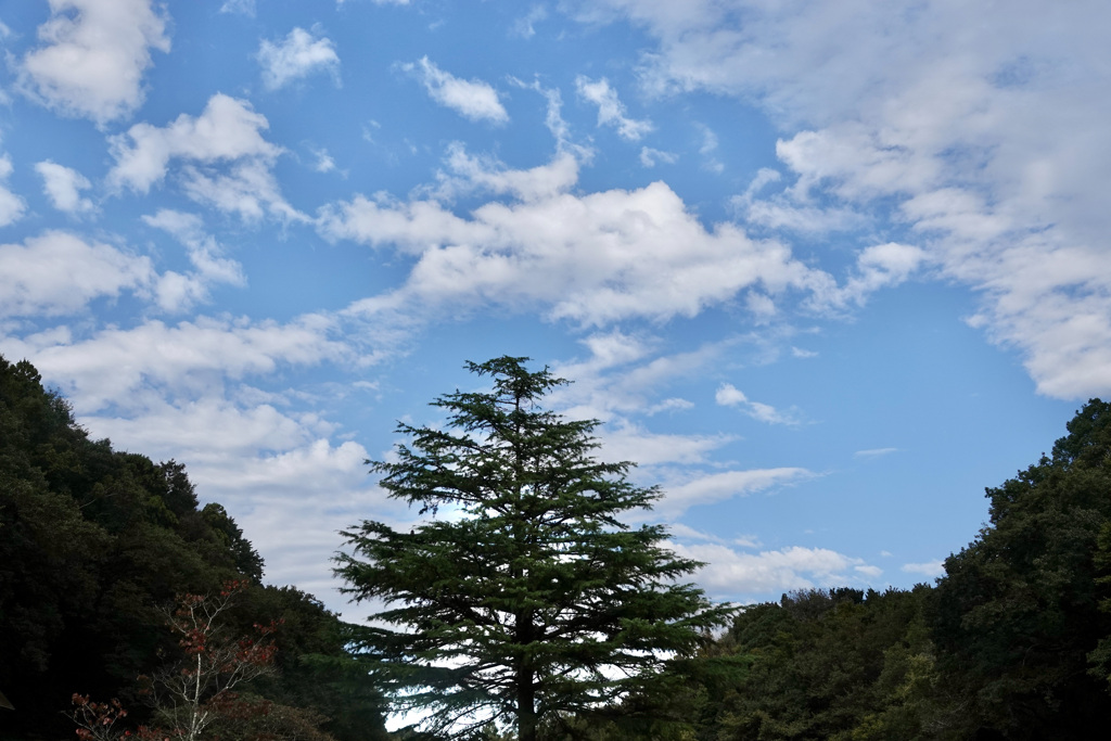 名前のない空を見上げて