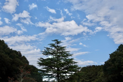 名前のない空を見上げて