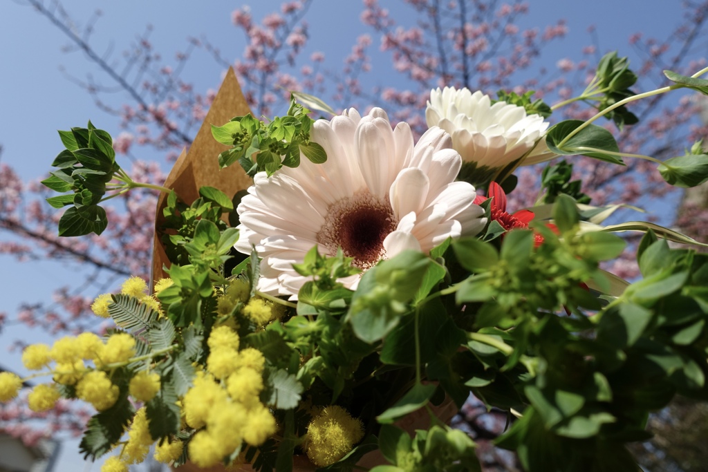 花は咲く