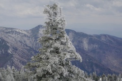 寒いよ〜(๑˃̵ᴗ˂̵)