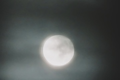 夜中見た月