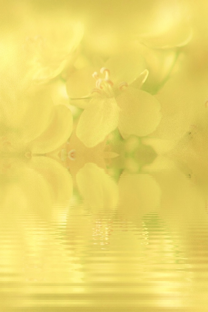 春の水面