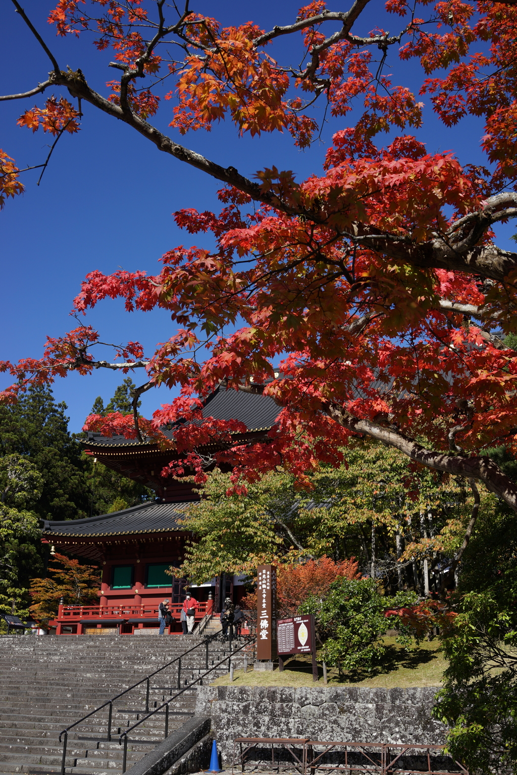 輪王時と紅葉と青い空