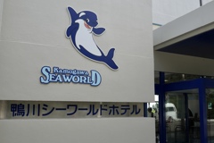 着いた٩( ᐛ )و
