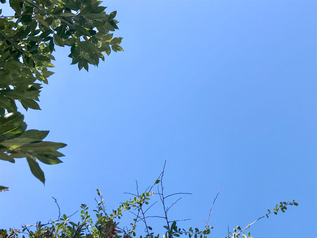 なんでもない空だけど♡