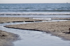 おもいでぽろぽろ 道標