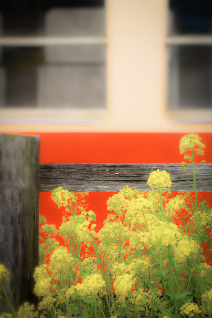 菜の花電車が停まる駅