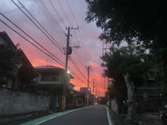 帰り道