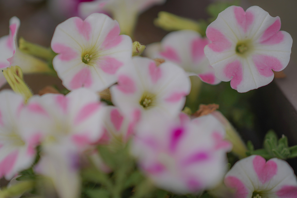 いっぱいだね=(^.^)=