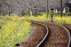 春の線路
