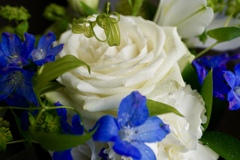 花束をわたそう！♡