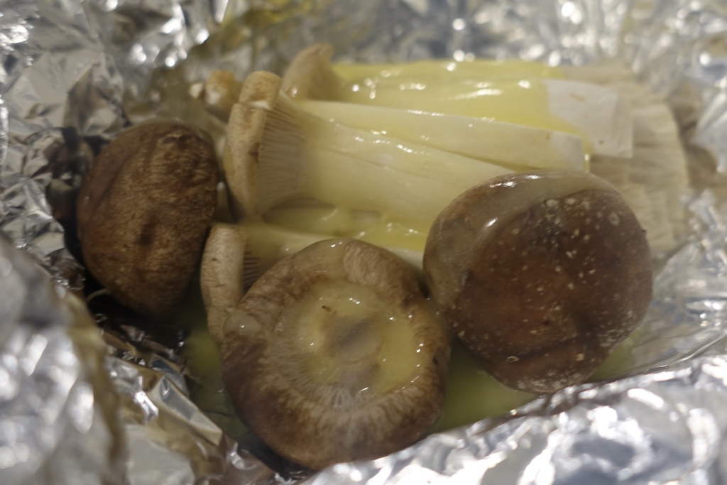 クリスマスキノコ