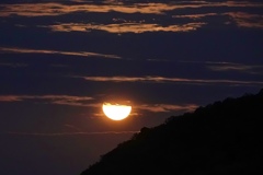 十五夜のお月さま