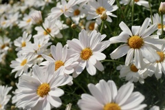 歌おうよ♪(^O^)