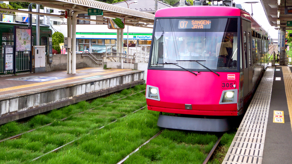 緑の絨毯と 赤い電車は三軒茶屋行き
