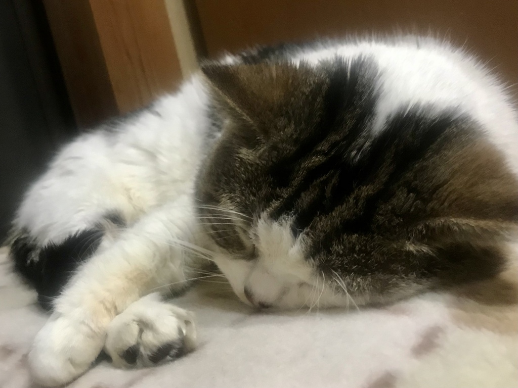 もう少しだよ＾＾