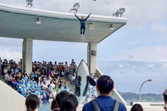 飛んだ！=(^.^)=