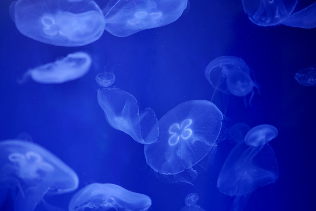 不思議な世界　青色