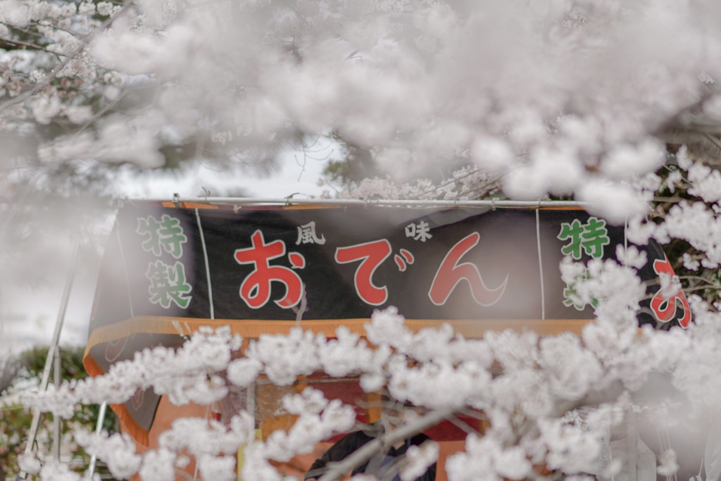 春の花フェス　お花見^ ^