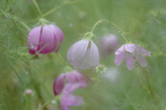 雨の中で。