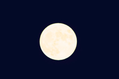 十五夜のまんまる