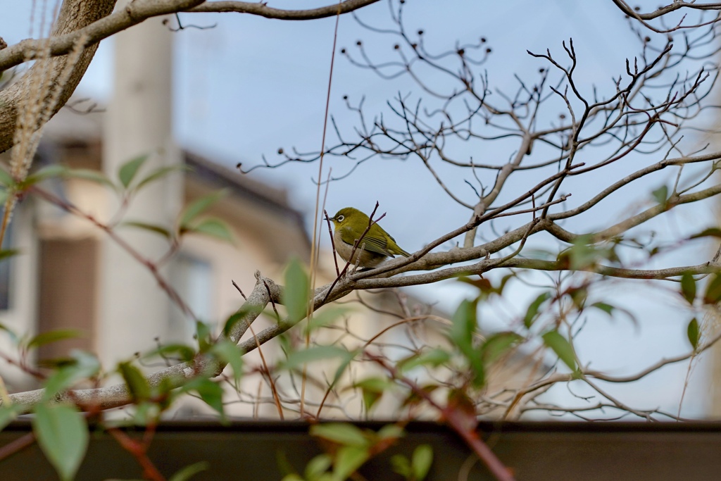 ちょっと、待っててね(^^)