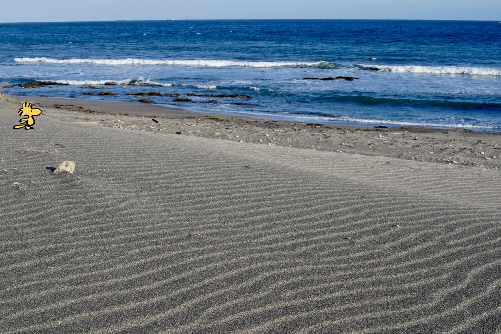 遠くへ行きたい。