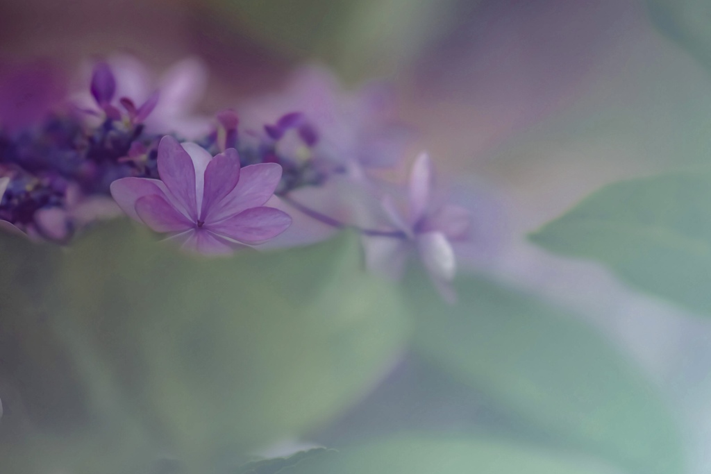 ちょっと顔出して