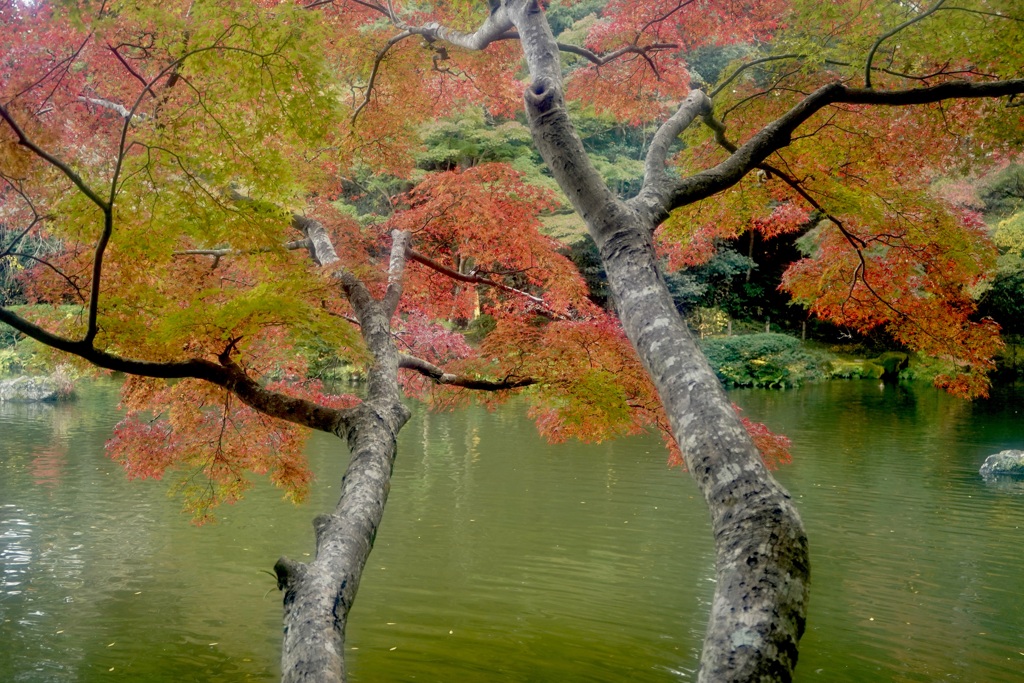 同じ場所