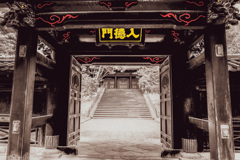 湯島聖堂　どうかなぁ？