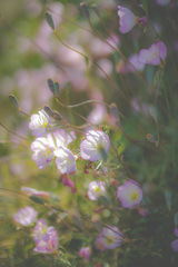 そんなうまくは、いかなかった。