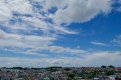 晴れてきた∩^ω^∩