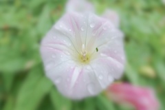 お化粧（╹◡╹）