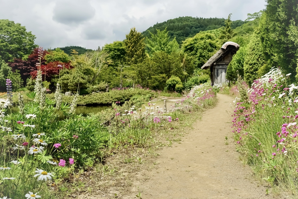 せせらぎの聞こえる家