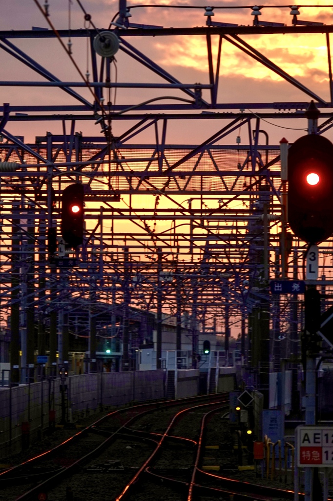 夕焼け線路