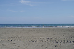 海のずっと向こうのほうから・・