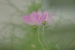 スケッチみたいに