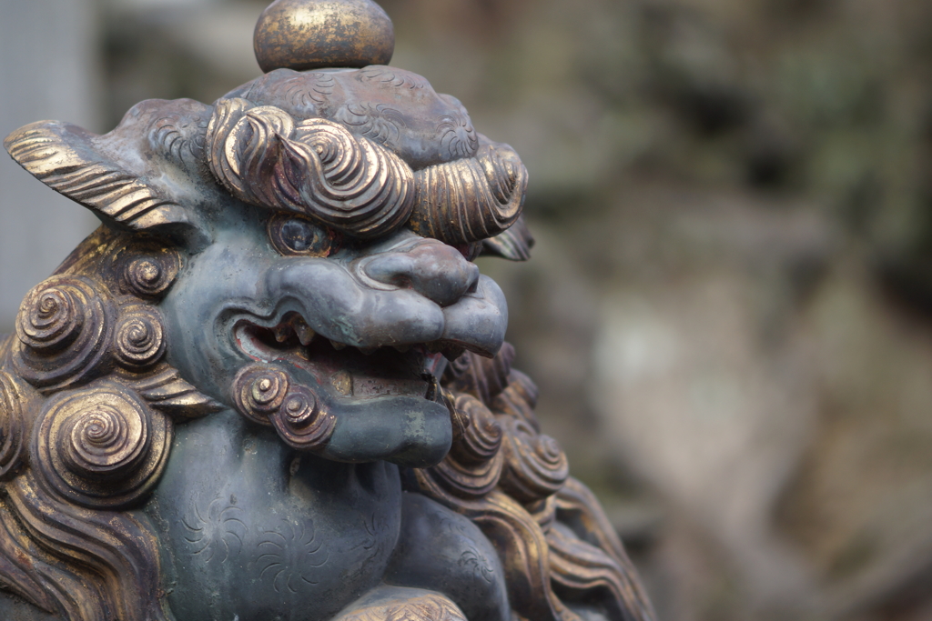 いらっしゃい(^ ^)