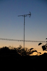 なんでもないこと。