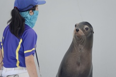 もう〜╰(*´︶`*)╯♡