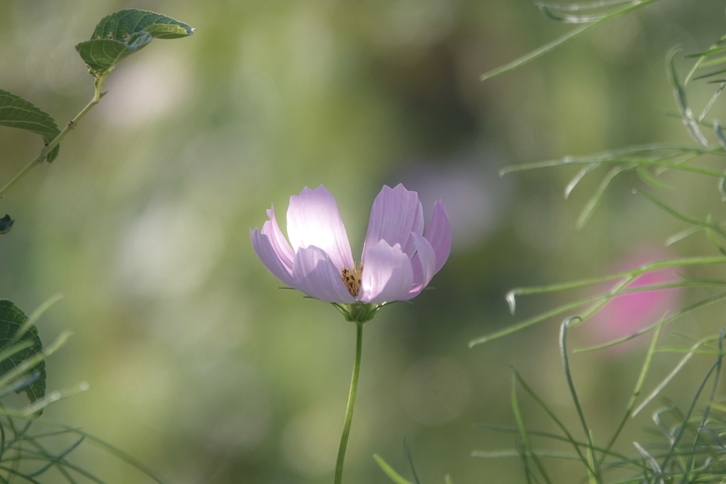 気持ちいい一日