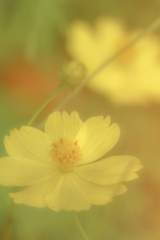 『Healing time』