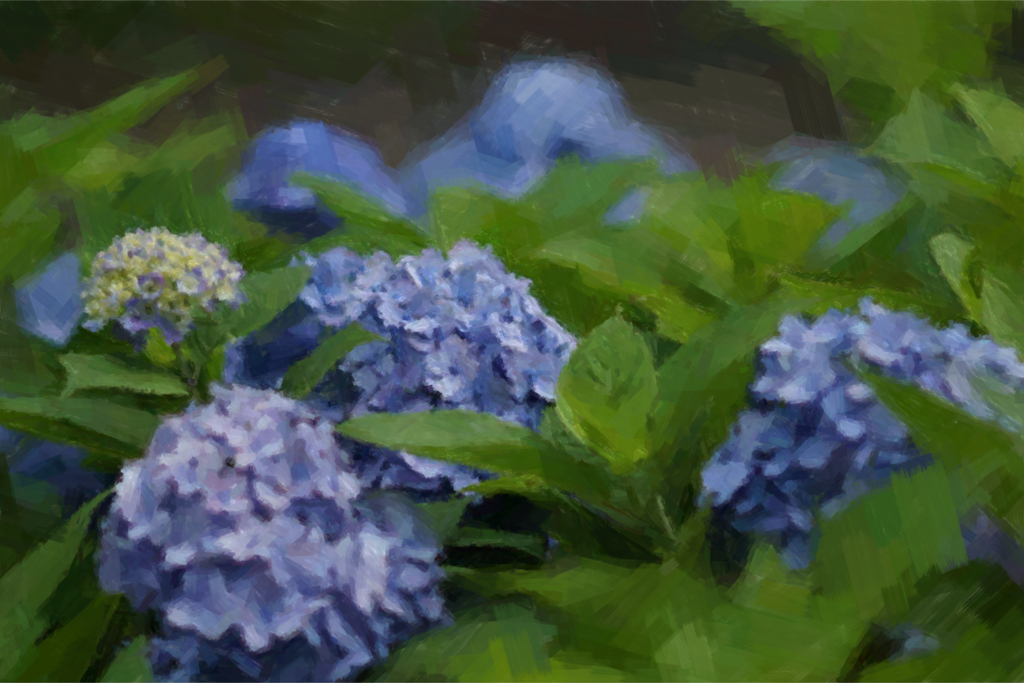 『紫陽花』