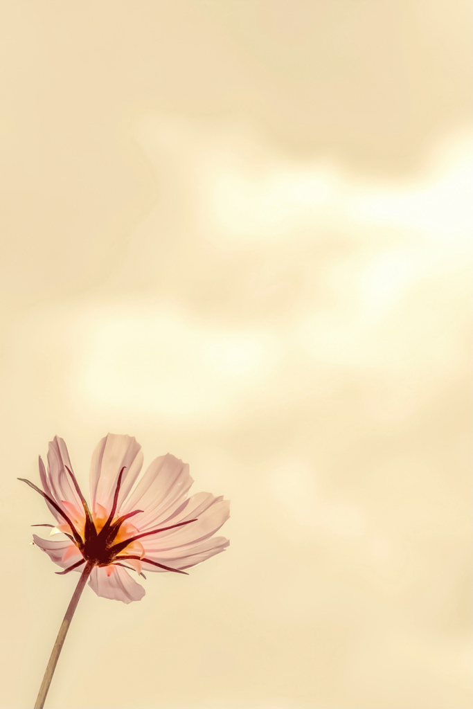 Amazing grace