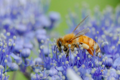 あぶないよ(╹◡╹)