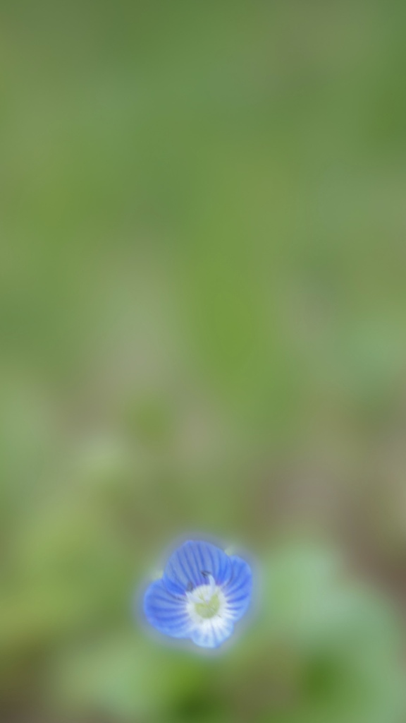 スマホ