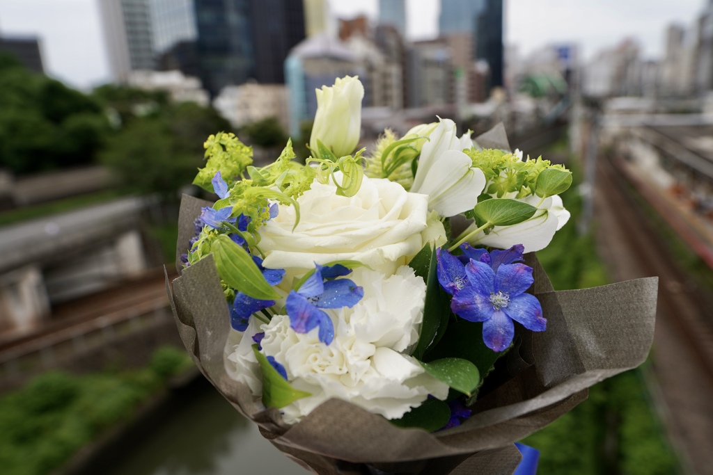 川にお花、投げるんです＾＾投げません( ◠‿◠ )