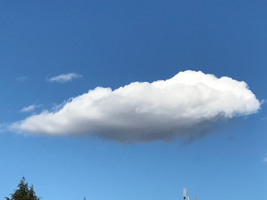 空を泳ぐ白いくじら
